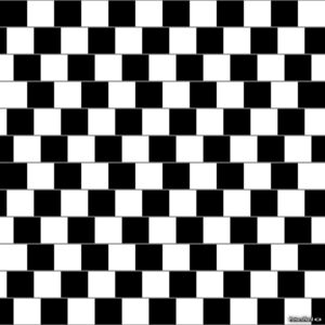 Cafe Wall Illusion